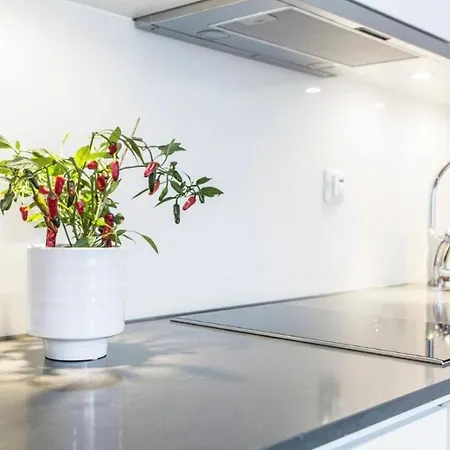 Appartement Comfort Deluxe In Old Town Szczecin